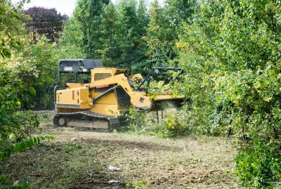 Land Clearing Permits