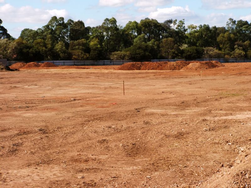 Choosing a Reliable Service