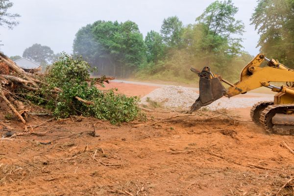 Ground Clearing in Englewood