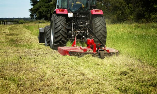 Brush Clearing Service in Englewood