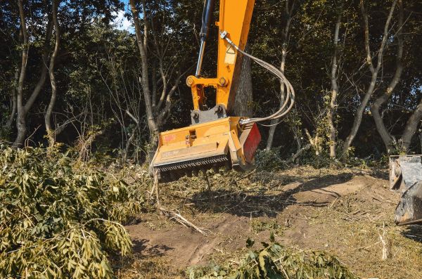 Brush Removal Service in Englewood